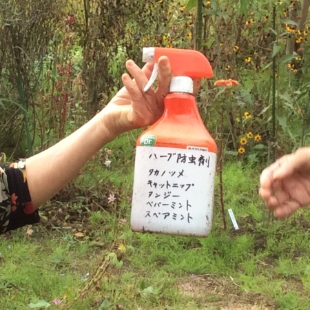 a0342324_12032148.jpeg