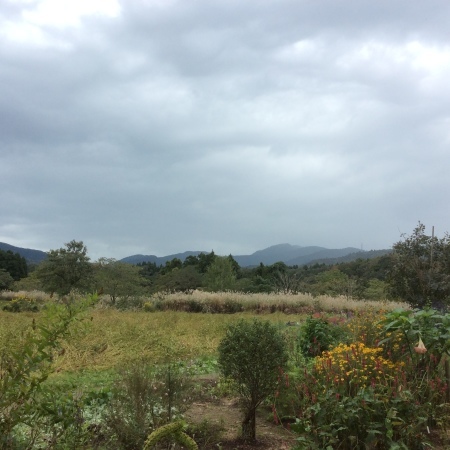 a0342324_12042802.jpeg