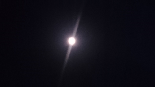 e0166734_21155822.jpg