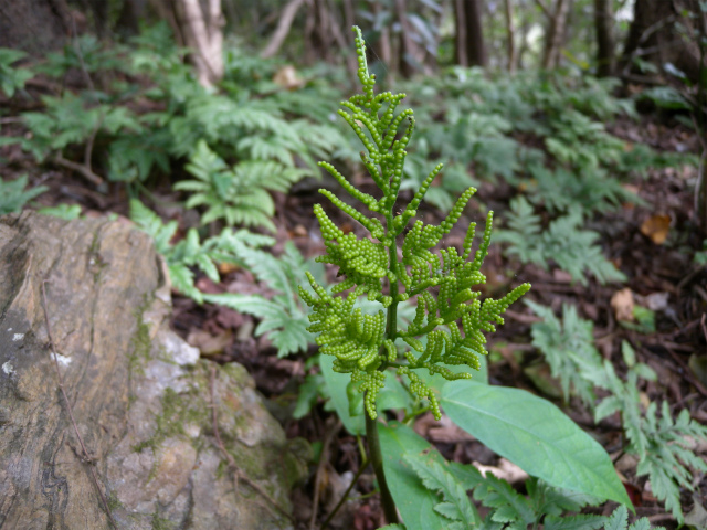 e0272335_16431471.jpg