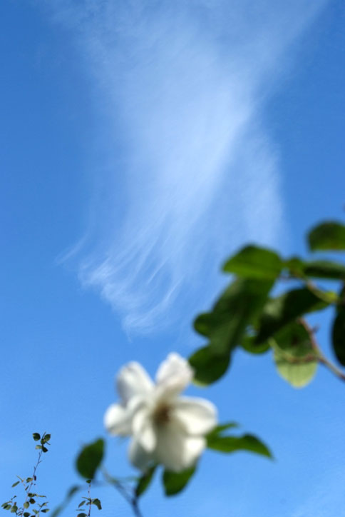 b0075541_17255161.jpg