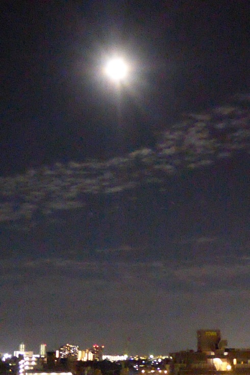 d0288144_19102728.jpg