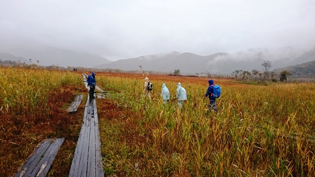 b0148050_15521514.jpg