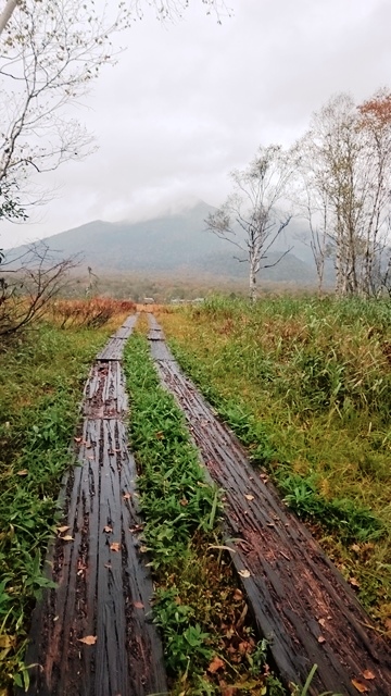 b0148050_15532766.jpg
