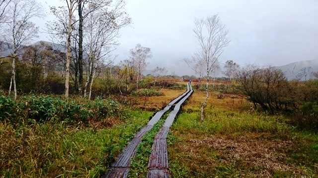 b0148050_16143690.jpg