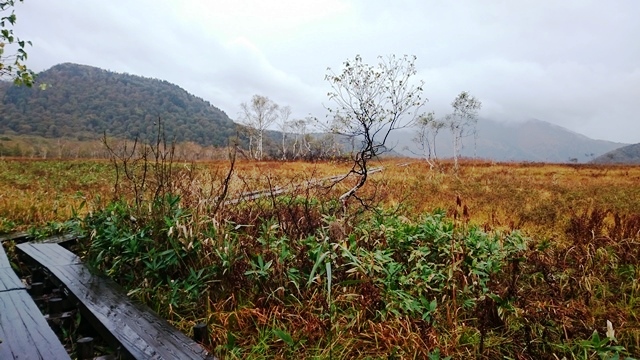 b0148050_16154871.jpg