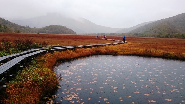b0148050_16172181.jpg
