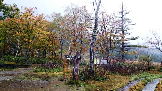 b0148050_1741418.jpg