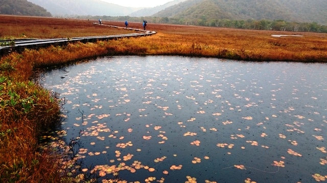 b0148050_1741929.jpg
