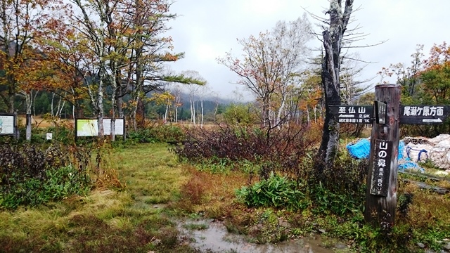 b0148050_17421573.jpg