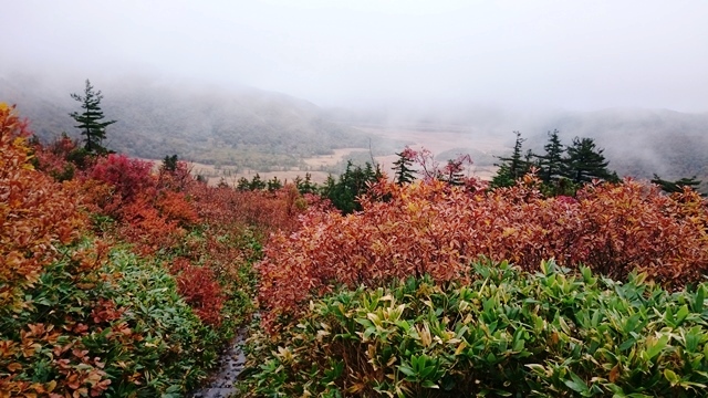 b0148050_1744134.jpg