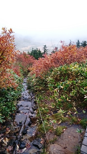 b0148050_1744462.jpg