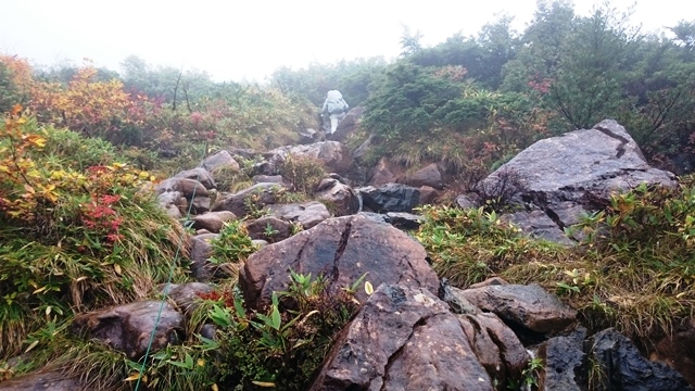 b0148050_17451168.jpg
