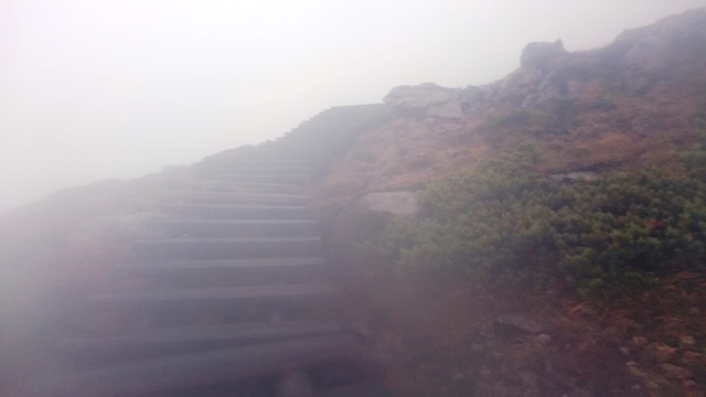 b0148050_17455498.jpg