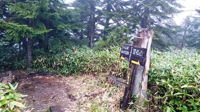 b0148050_1747688.jpg