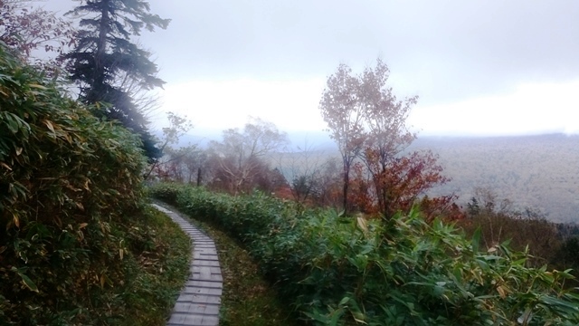b0148050_17482246.jpg