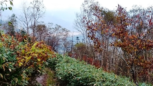 b0148050_17484294.jpg