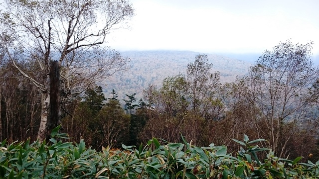 b0148050_17484921.jpg