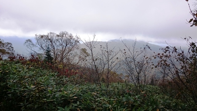 b0148050_1748552.jpg