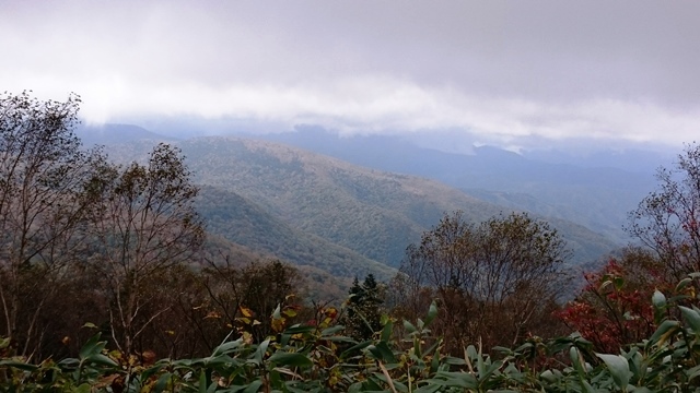 b0148050_17485940.jpg