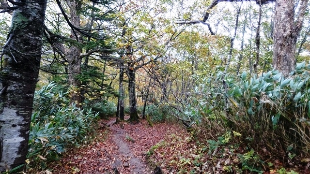 b0148050_17493368.jpg