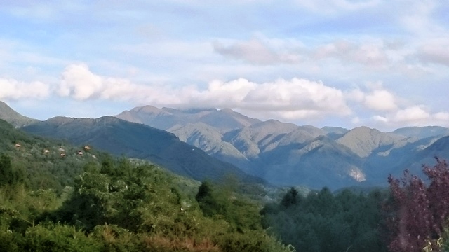 b0148050_1752857.jpg