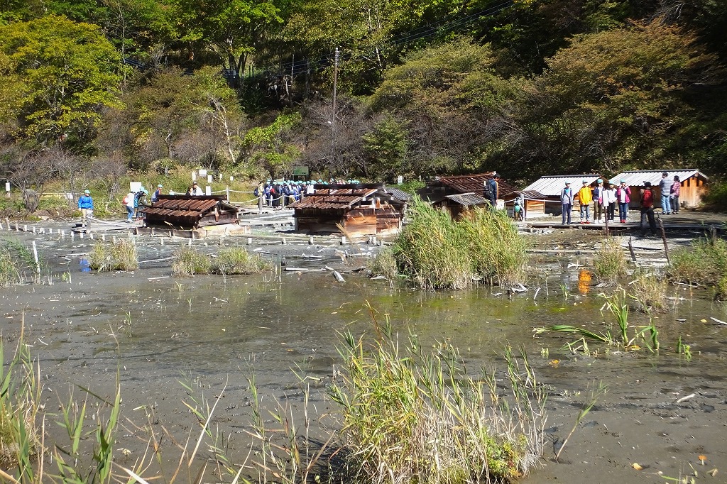 b0236251_11385717.jpg