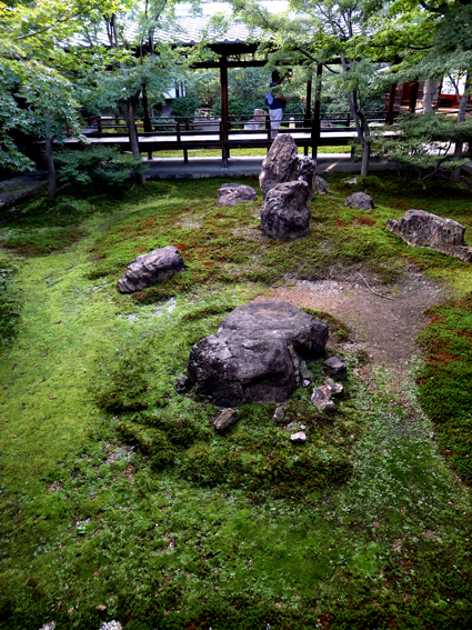 d0218056_74677.jpg