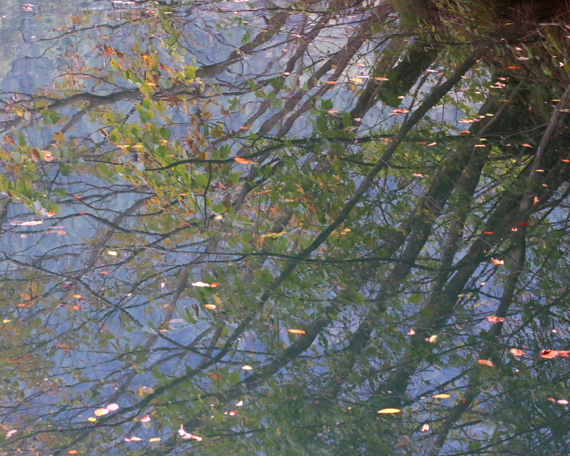 c0305565_18045734.jpg