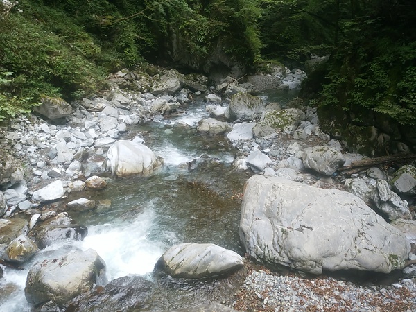 e0004173_17163014.jpg