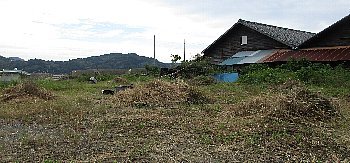 f0003283_15540868.jpg
