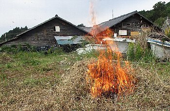 f0003283_15541737.jpg