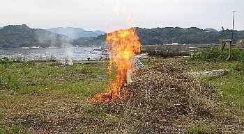 f0003283_15542639.jpg