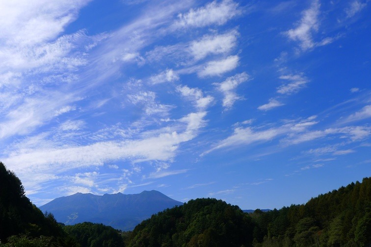 a0130586_16454523.jpg