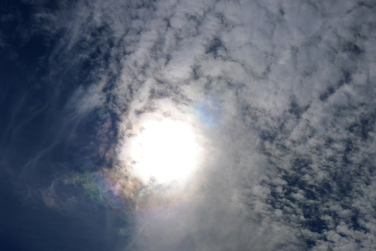 a0130586_16493445.jpg