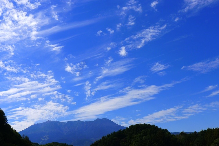 a0130586_1650741.jpg