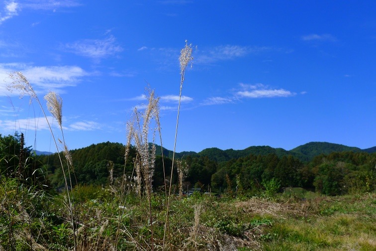 a0130586_16515437.jpg