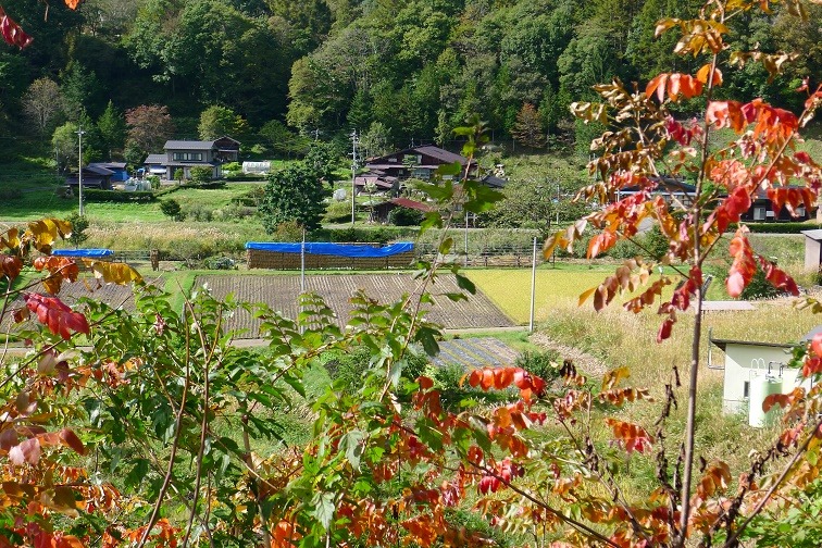a0130586_16535416.jpg