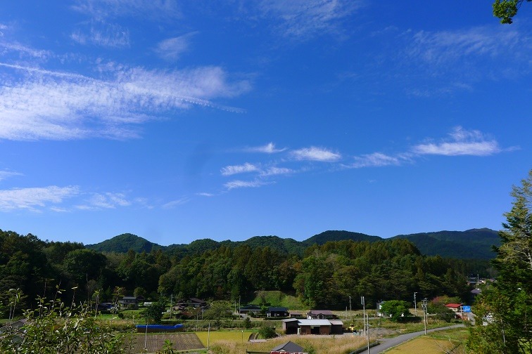 a0130586_1655941.jpg