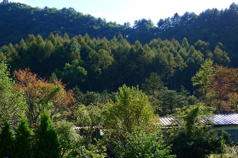 a0130586_173315.jpg