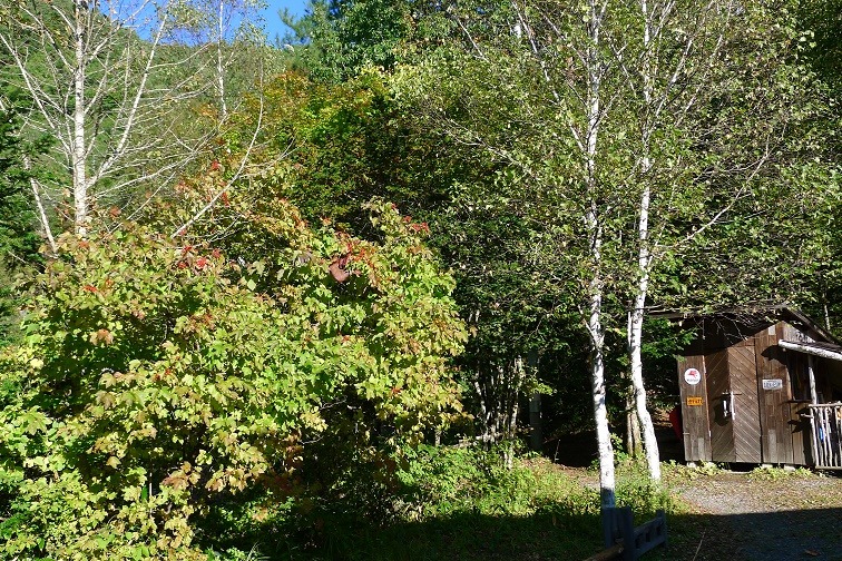 a0130586_174422.jpg