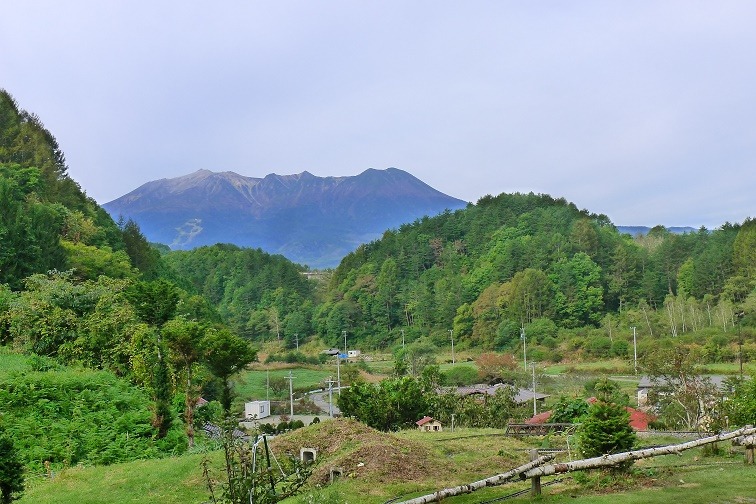 a0130586_8441643.jpg