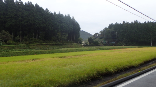 a0338094_00472327.jpg