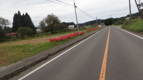 a0338094_01100542.jpg