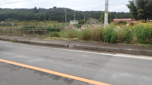 a0338094_01193674.jpg