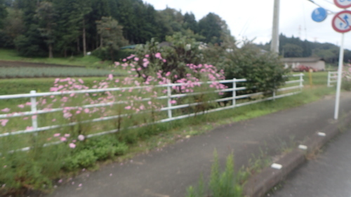 a0338094_01230634.jpg