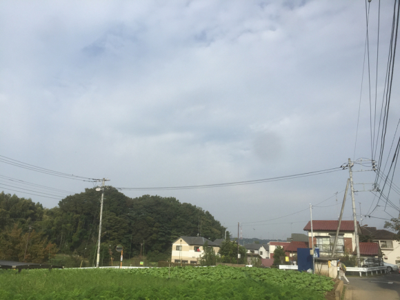 d0135694_17434371.jpg