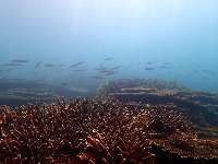 f0079996_17573258.jpg