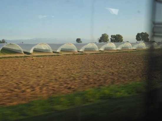 e0209997_23235643.jpg