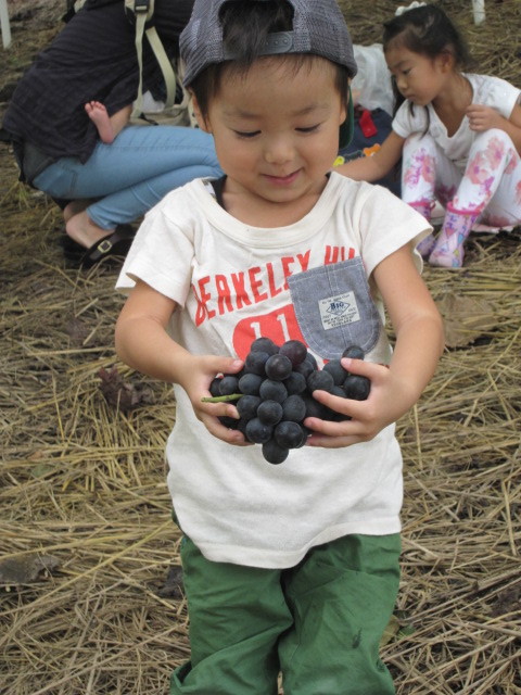 c0152002_16585099.jpg